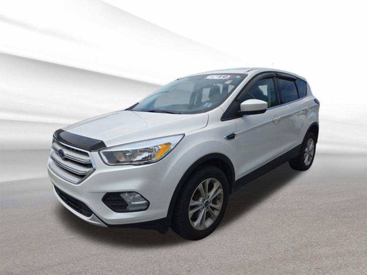 Used 2019 Ford Escape SE for sale in Halifax, NS