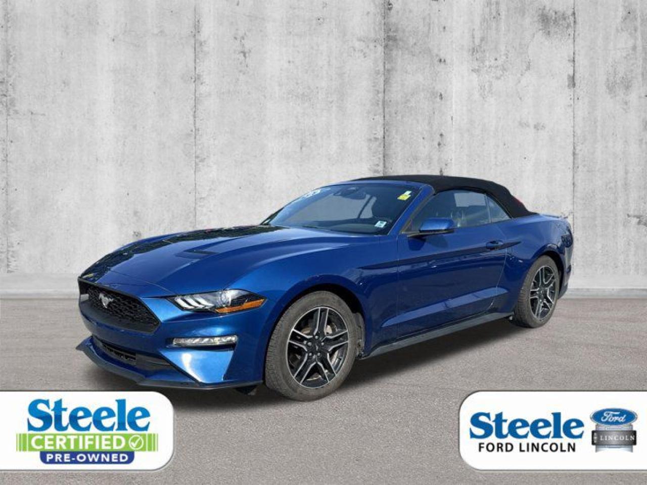 Used 2023 Ford Mustang EcoBoost Premium for sale in Halifax, NS