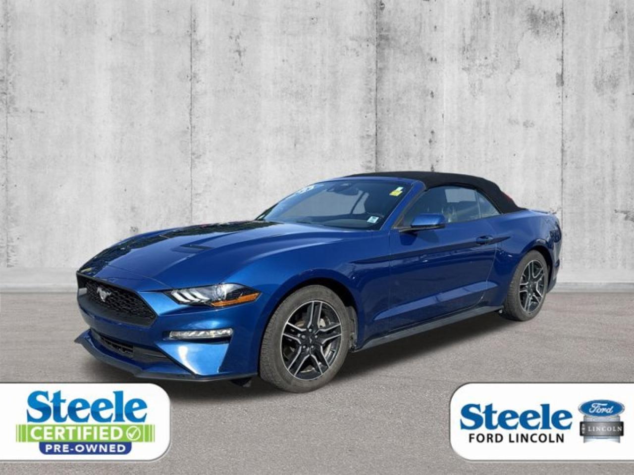 Used 2023 Ford Mustang EcoBoost Premium for sale in Halifax, NS