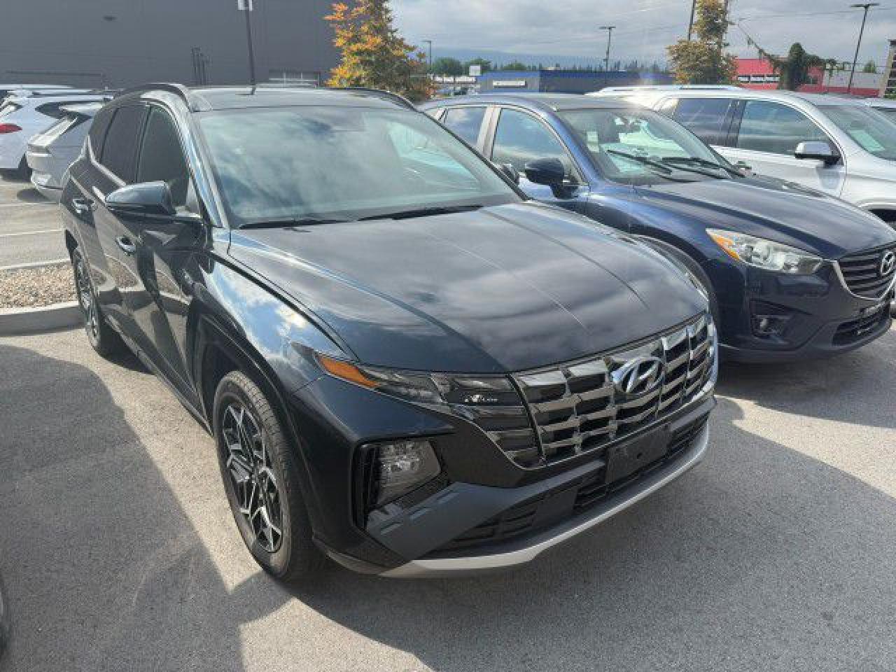 Used 2024 Hyundai Tucson Hybrid N-Line NO ACCIDENT! for sale in Kelowna, BC