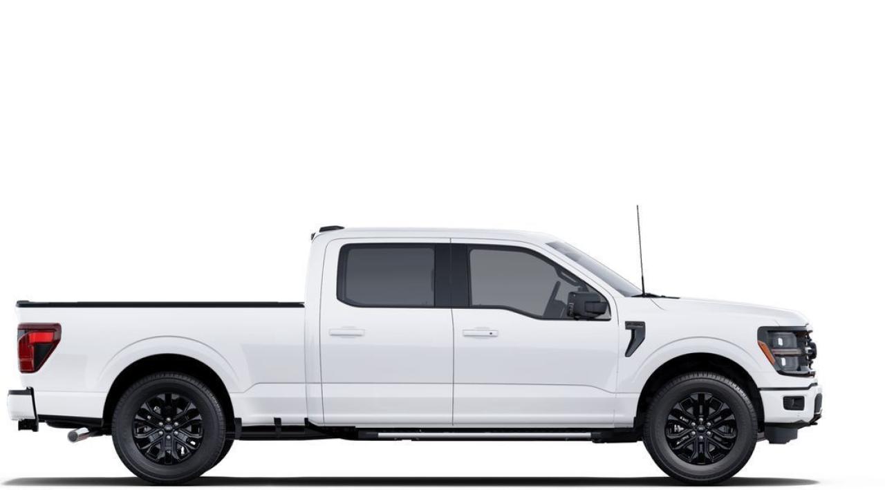 2025 Ford F-150 XLT Photo13