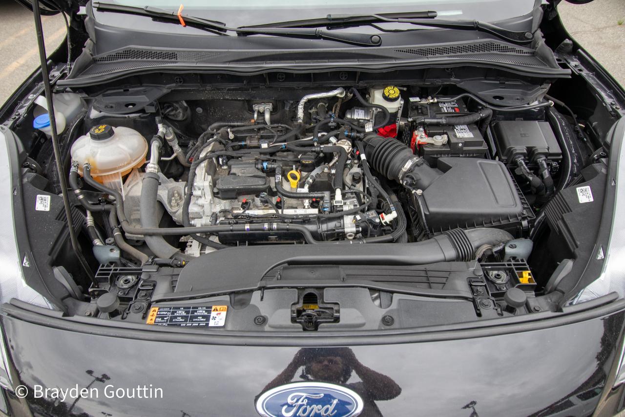 2021 Ford Escape SEL 4WD Photo5