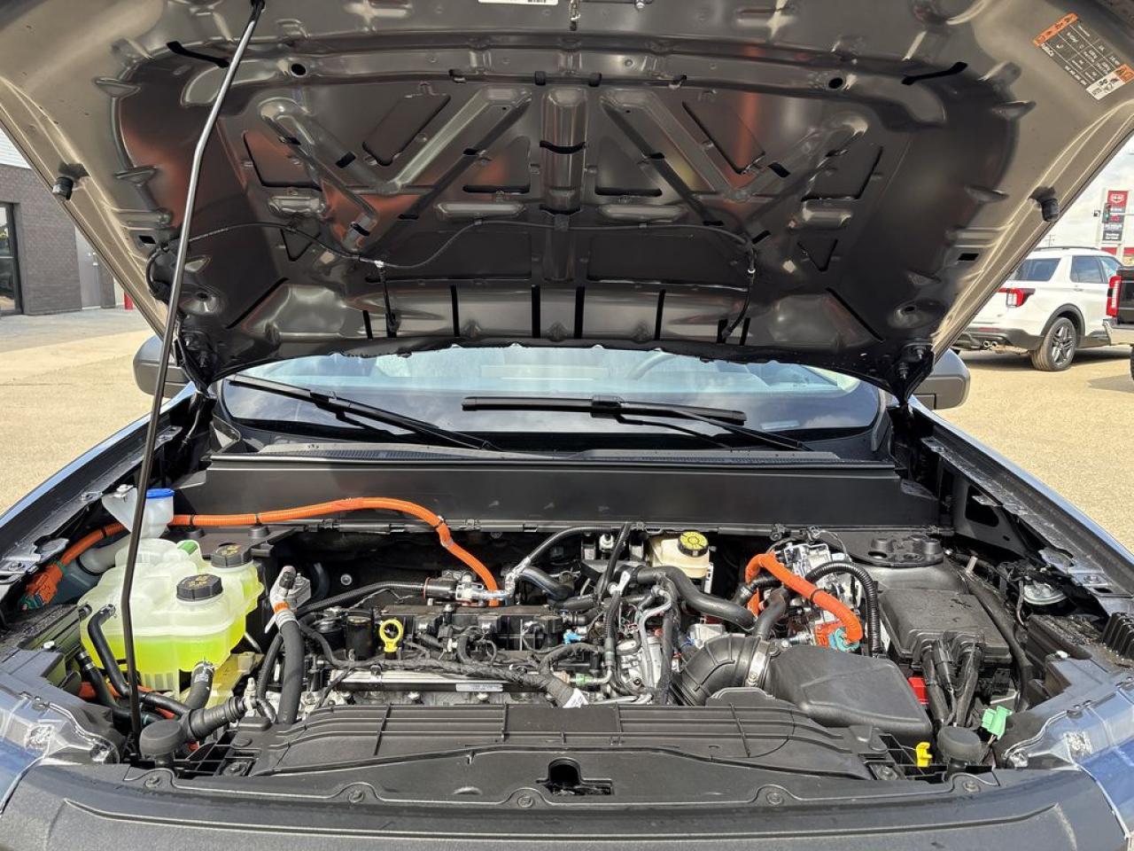 2025 Ford Maverick XLT 301A Photo5