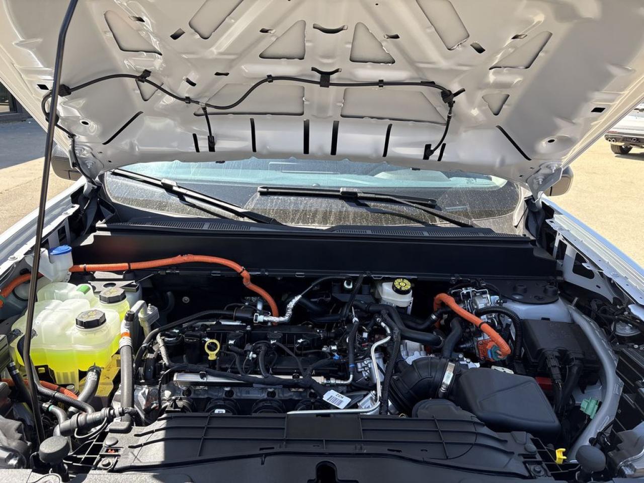 2025 Ford Maverick XLT 301A Photo5