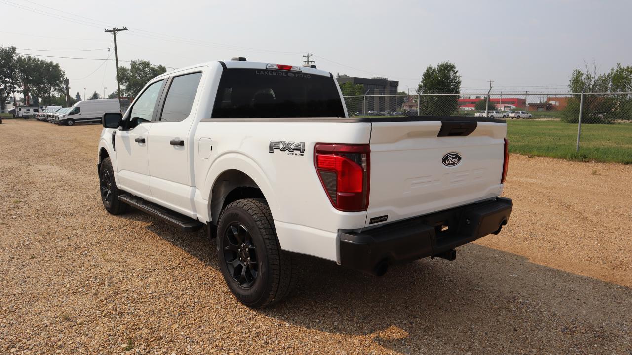 2025 Ford F-150 STX Photo