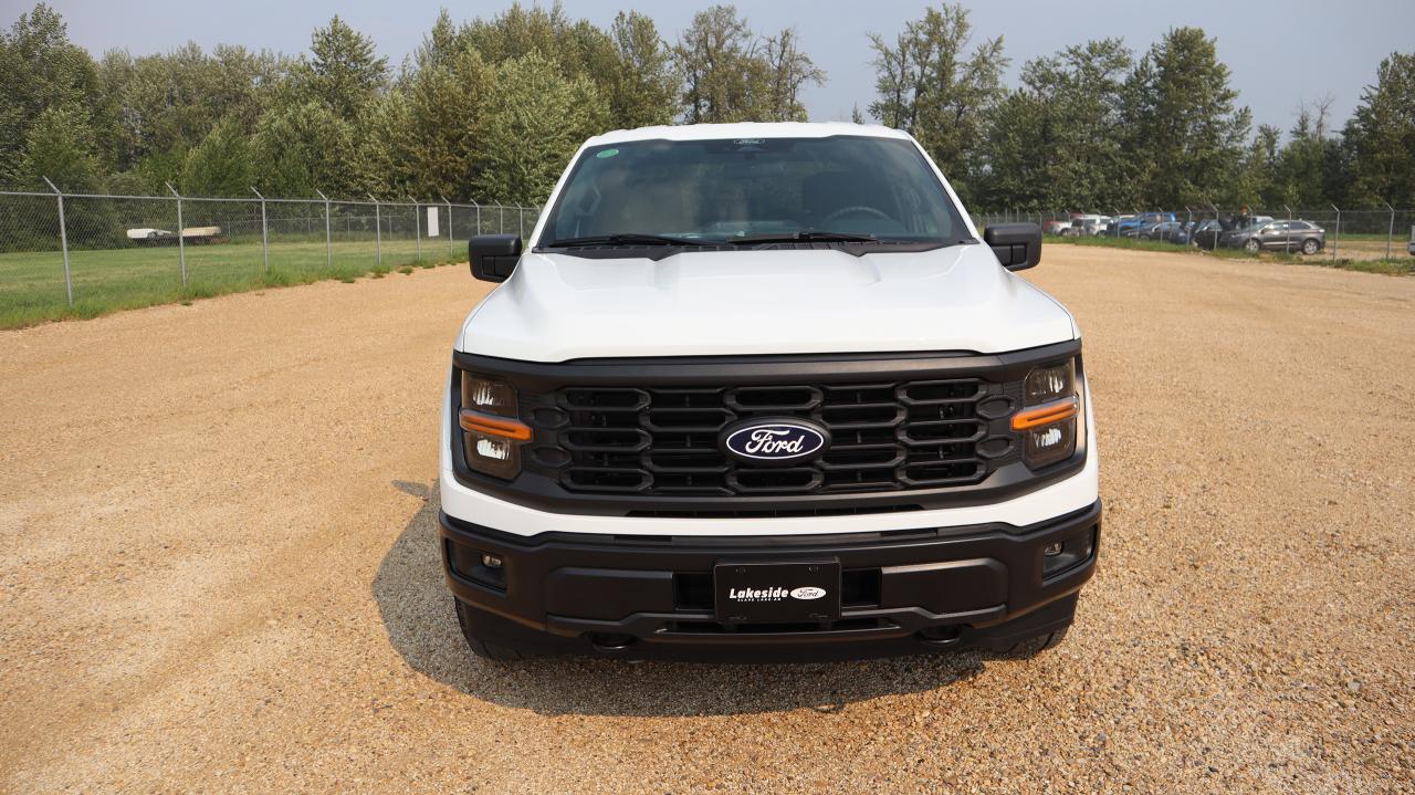 2025 Ford F-150 STX Photo1