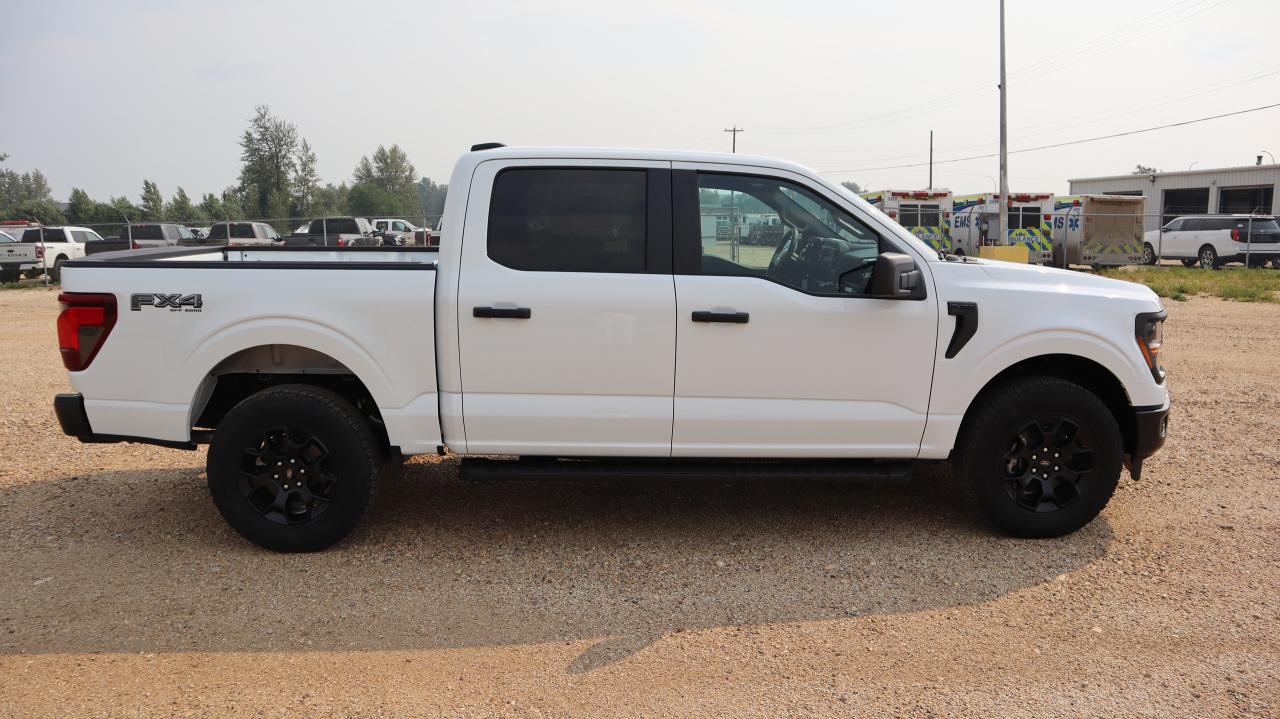 2025 Ford F-150 STX Photo4