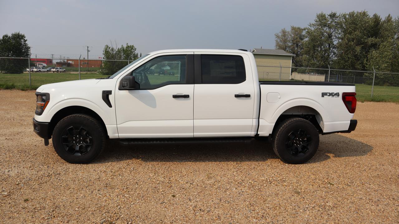 2025 Ford F-150 STX Photo
