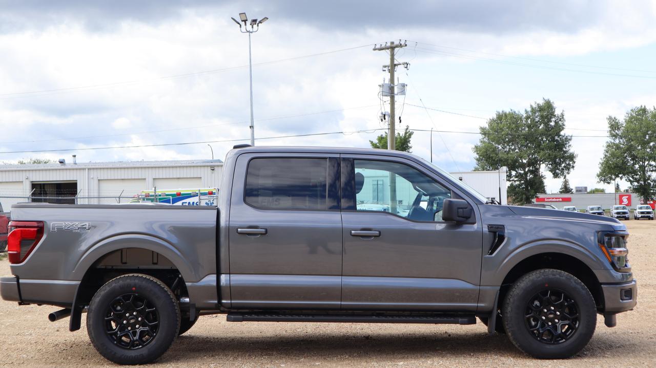 2025 Ford F-150 XLT Photo5