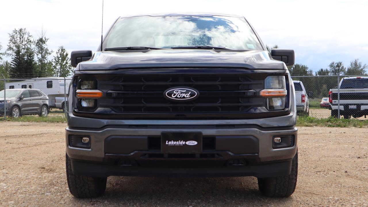 2025 Ford F-150 XLT Photo5