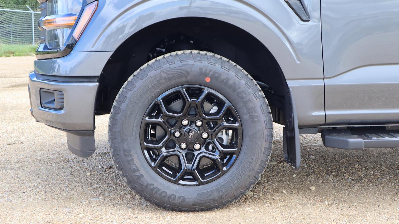 2025 Ford F-150 XLT Photo5