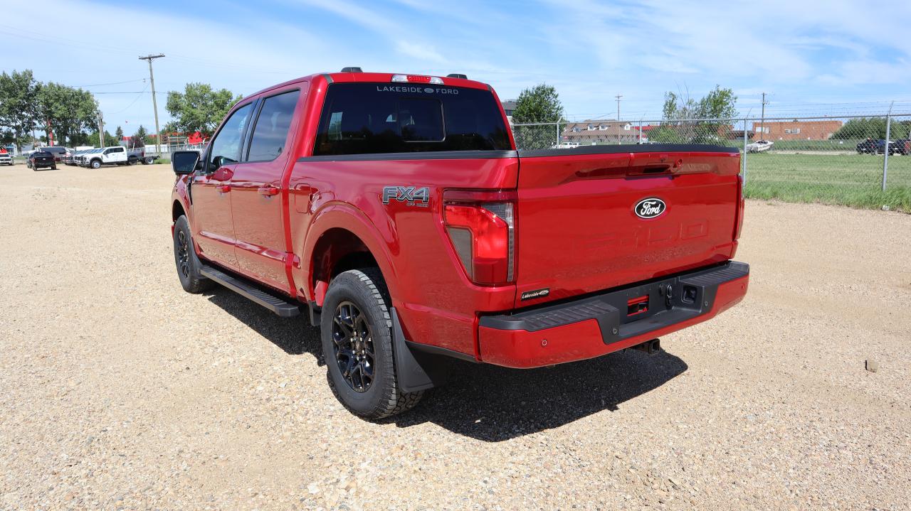 2025 Ford F-150 XLT Photo