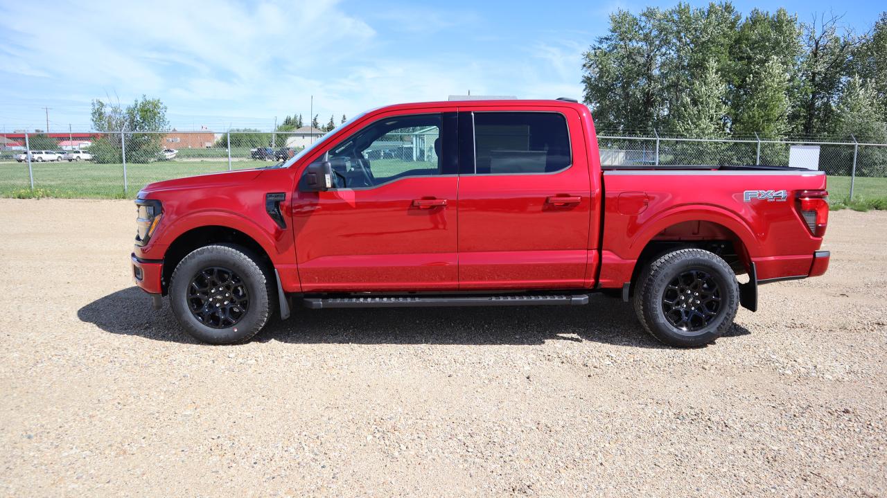 2025 Ford F-150 XLT Photo2