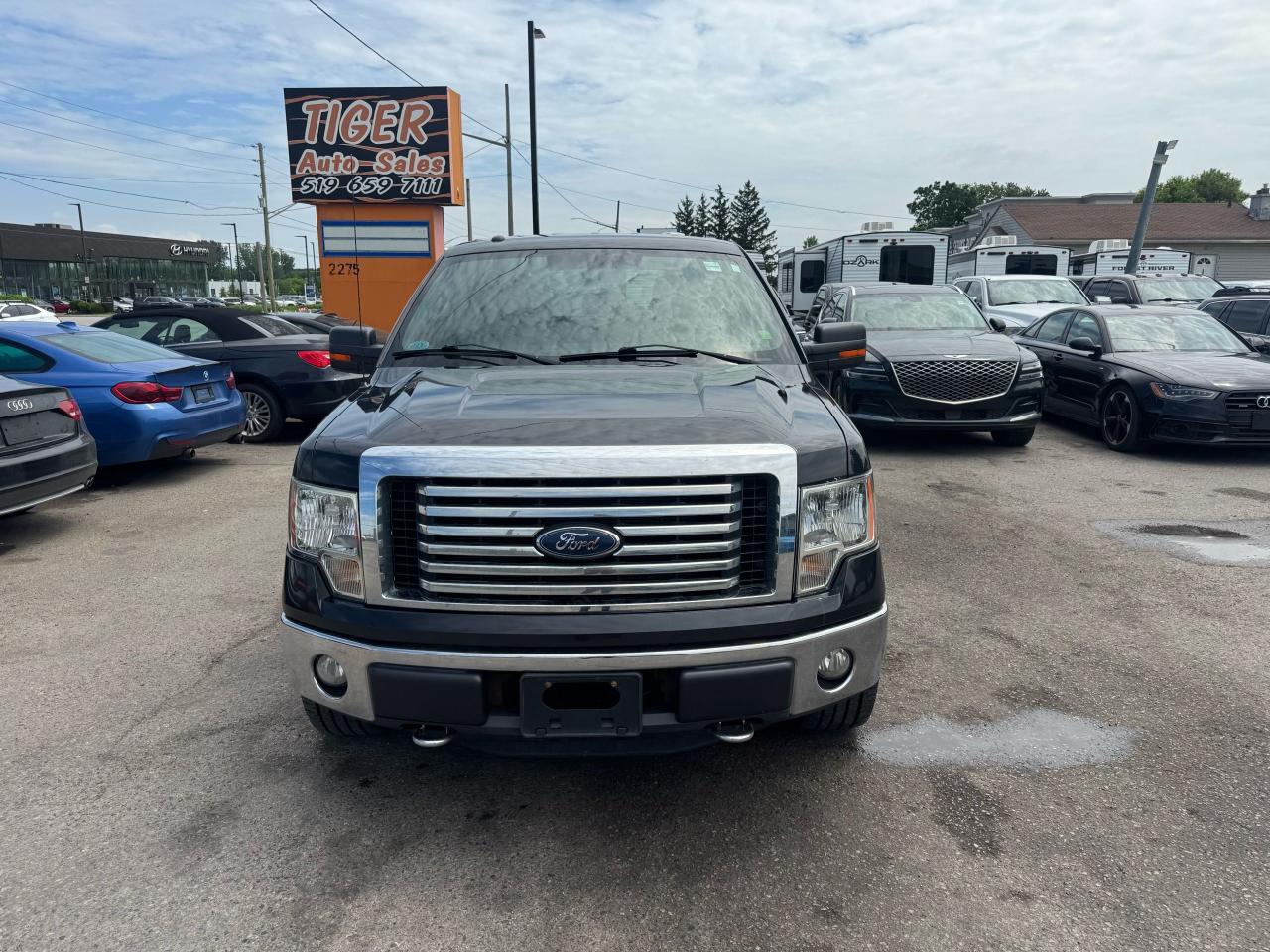 2012 Ford F-150 XLT, 5.0 V8, 4X4, CREW CAB, NEWER TIRES, AS IS - Photo #8