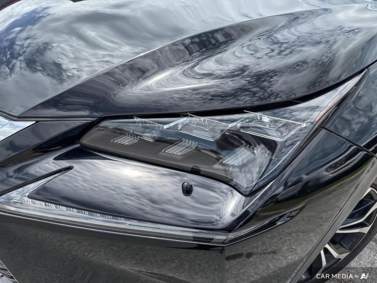 2016 Lexus NX 200t F SPORT / AWD / LEATHER / ROOF / NAV / HTD SEATS - Photo #6