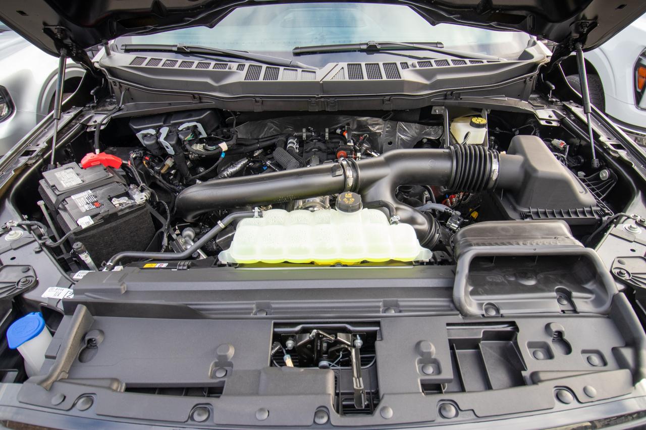 2024 Ford F-150 XLT 4WD SuperCrew 5.5' Box Photo5