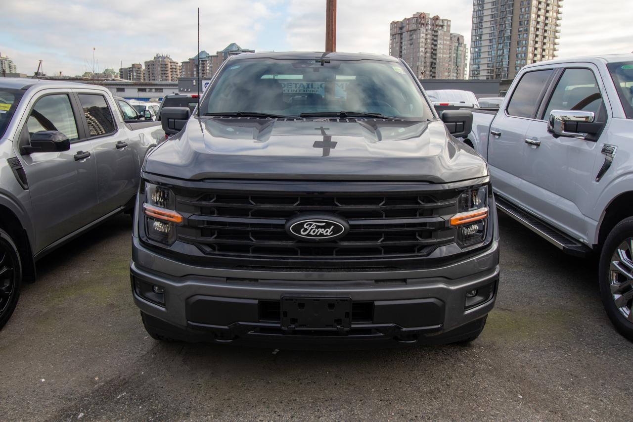 2024 Ford F-150 XLT 4WD SuperCrew 5.5' Box Photo2