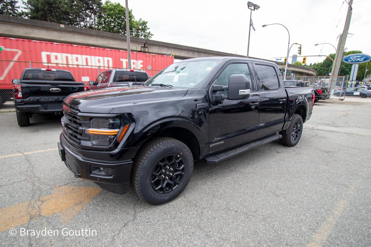 2024 Ford F-150 XLT 4WD SuperCrew 5.5' Box Photo1