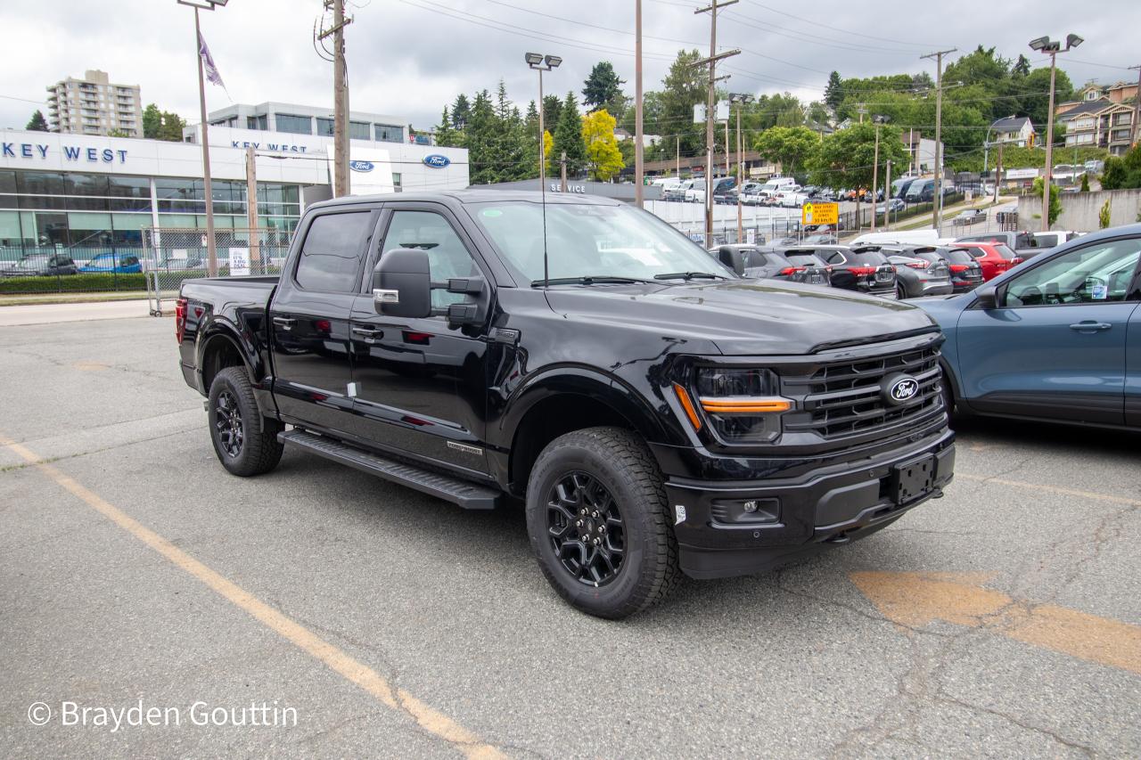 2024 Ford F-150 XLT 4WD SuperCrew 5.5' Box Photo3