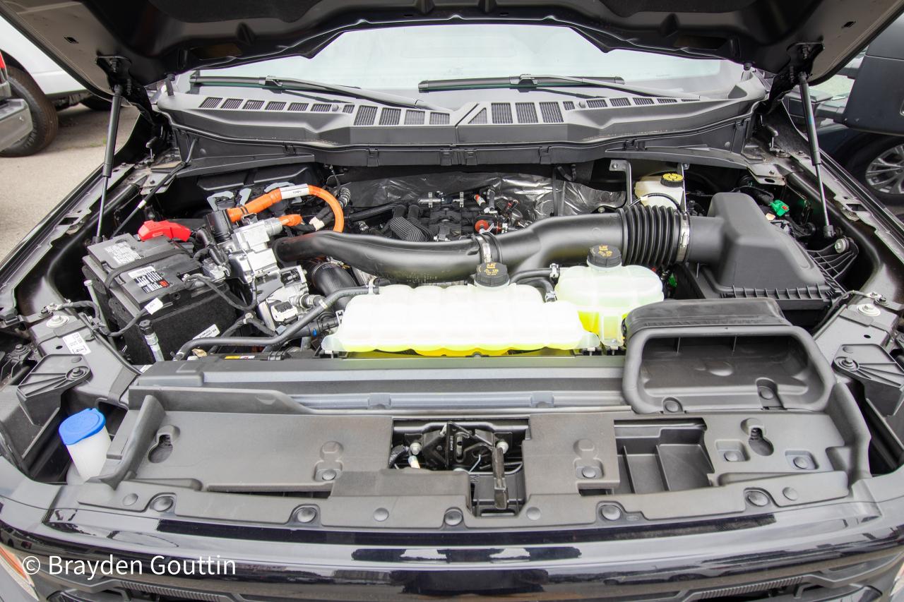 2024 Ford F-150 XLT 4WD SuperCrew 5.5' Box Photo5