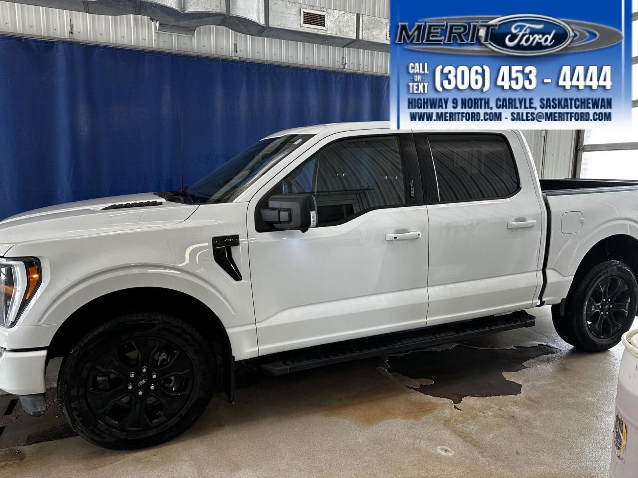 Used 2023 Ford F-150 XLT - Leather, BoxLink + for sale in Carlyle, SK
