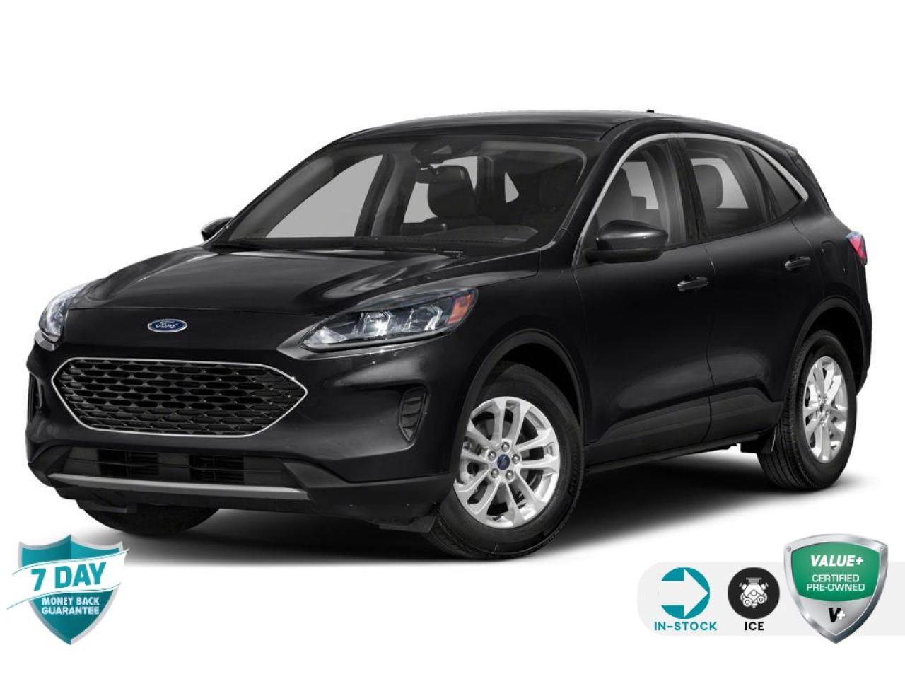 Used 2021 Ford Escape SE for sale in Oakville, ON