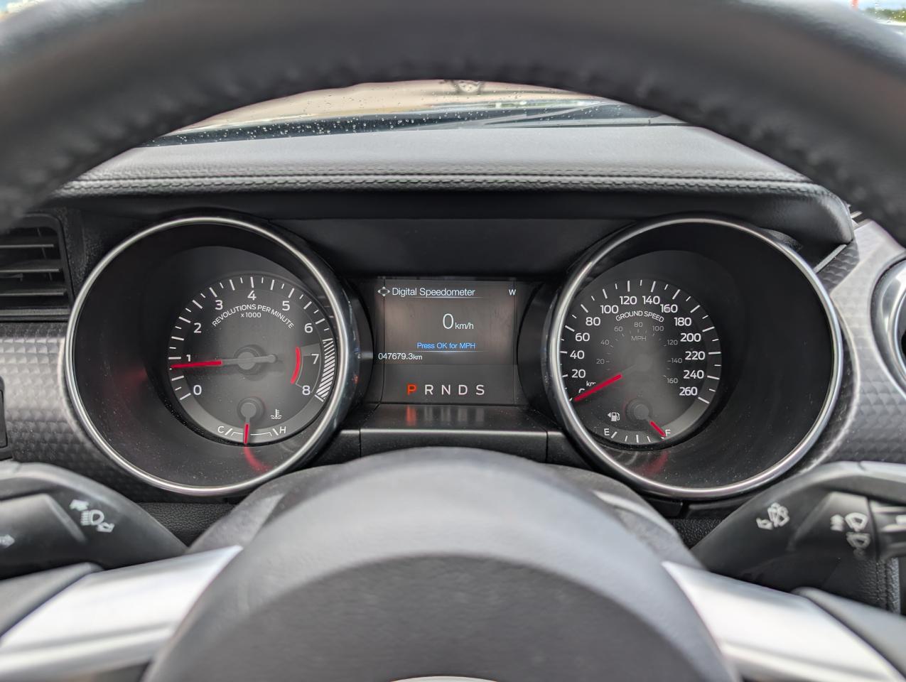 2019 Ford Mustang EcoBoost Photo
