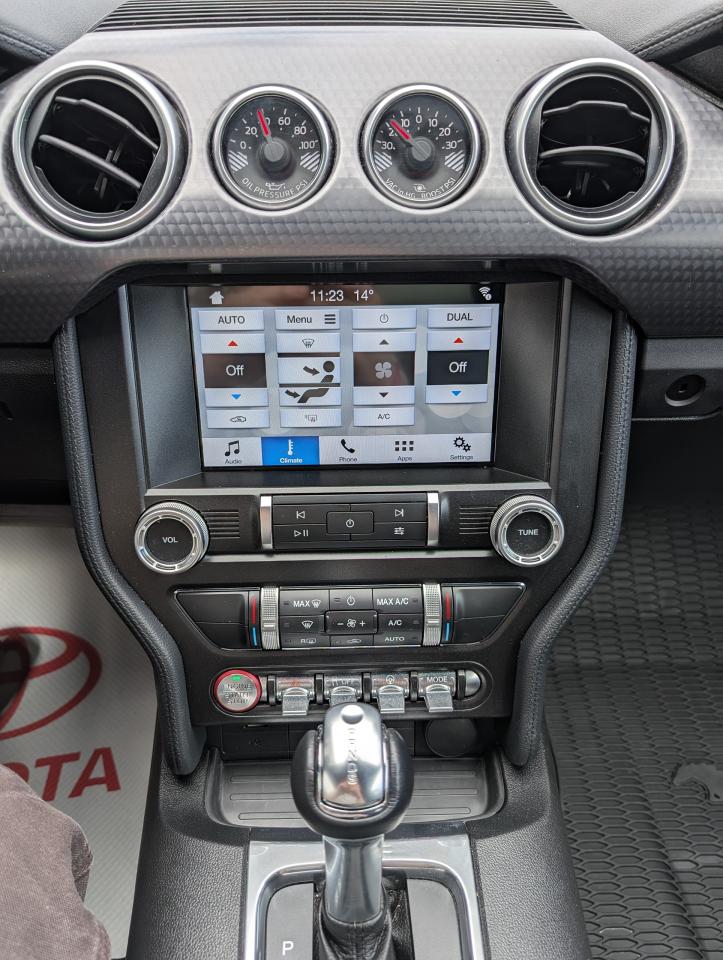 2019 Ford Mustang EcoBoost Photo