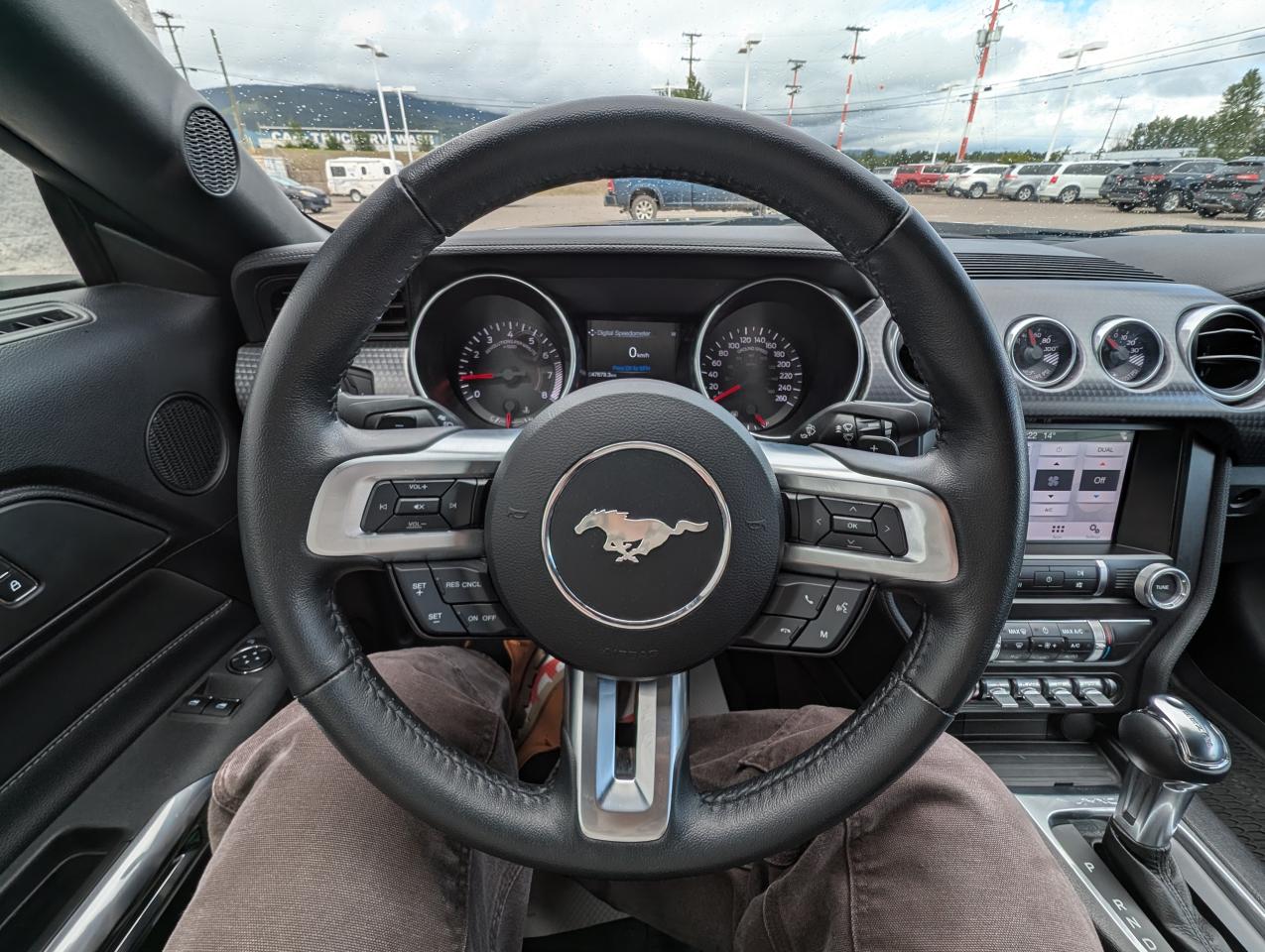 2019 Ford Mustang EcoBoost Photo