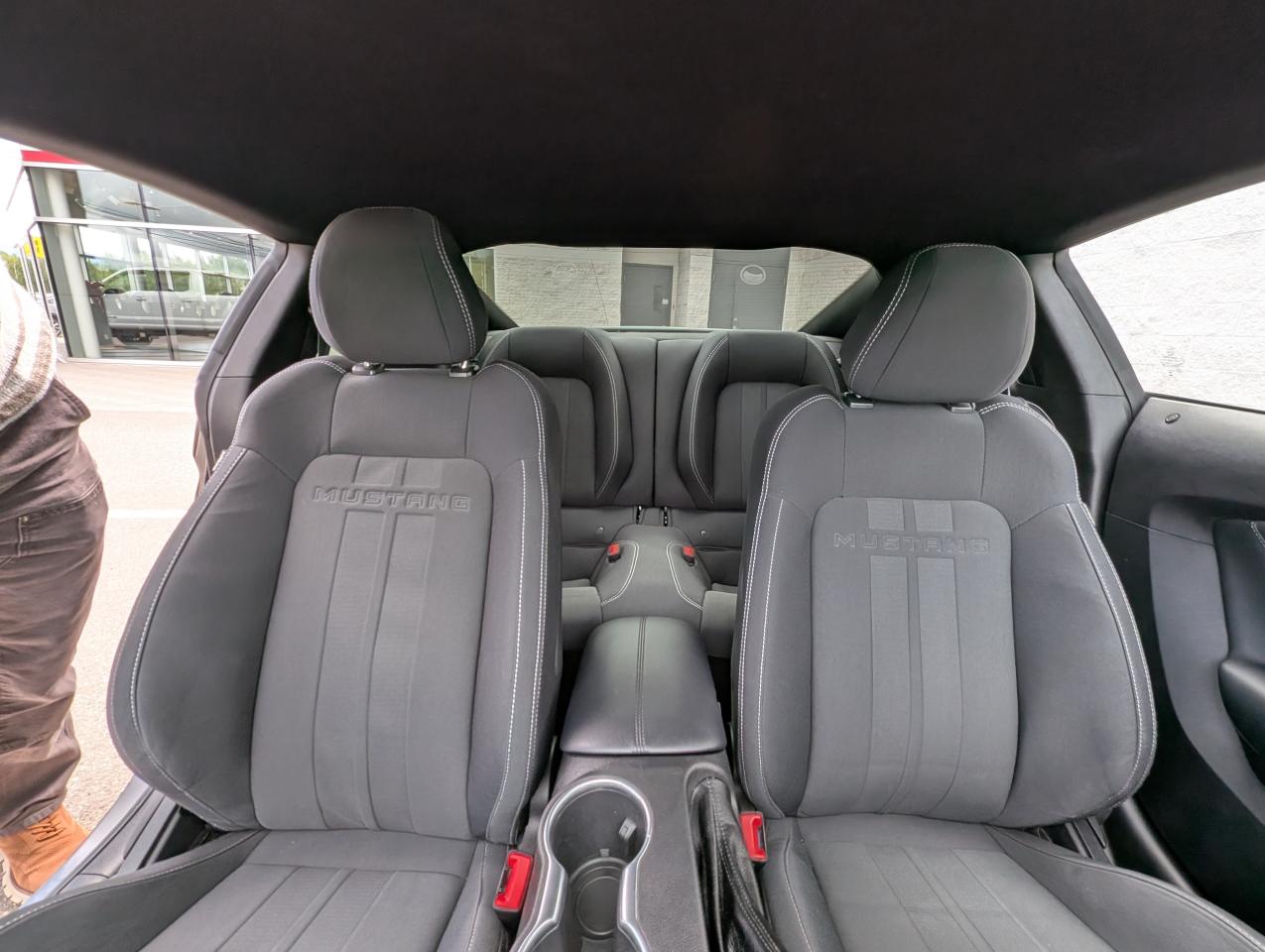 2019 Ford Mustang EcoBoost Photo