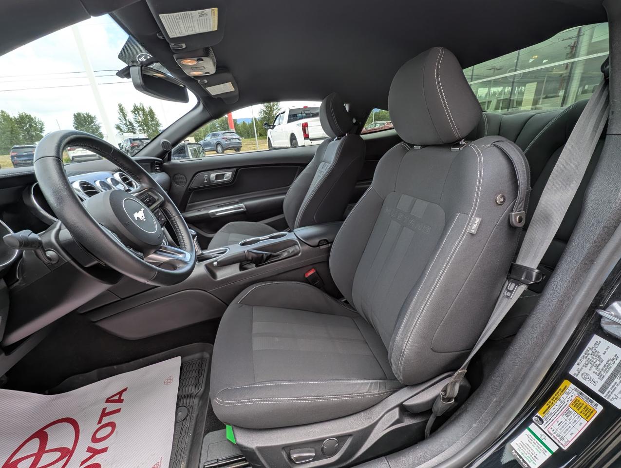 2019 Ford Mustang EcoBoost Photo