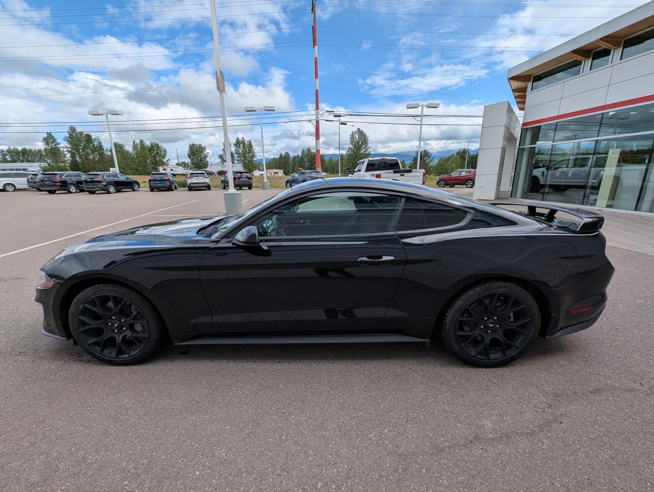 2019 Ford Mustang EcoBoost Photo3