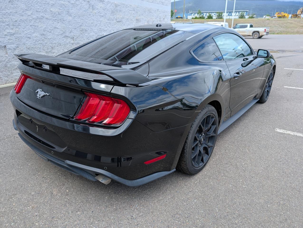2019 Ford Mustang EcoBoost Photo