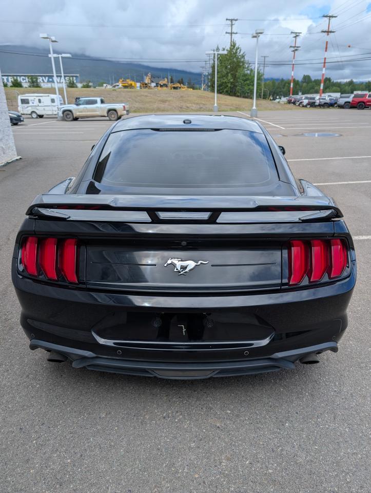 2019 Ford Mustang EcoBoost Photo