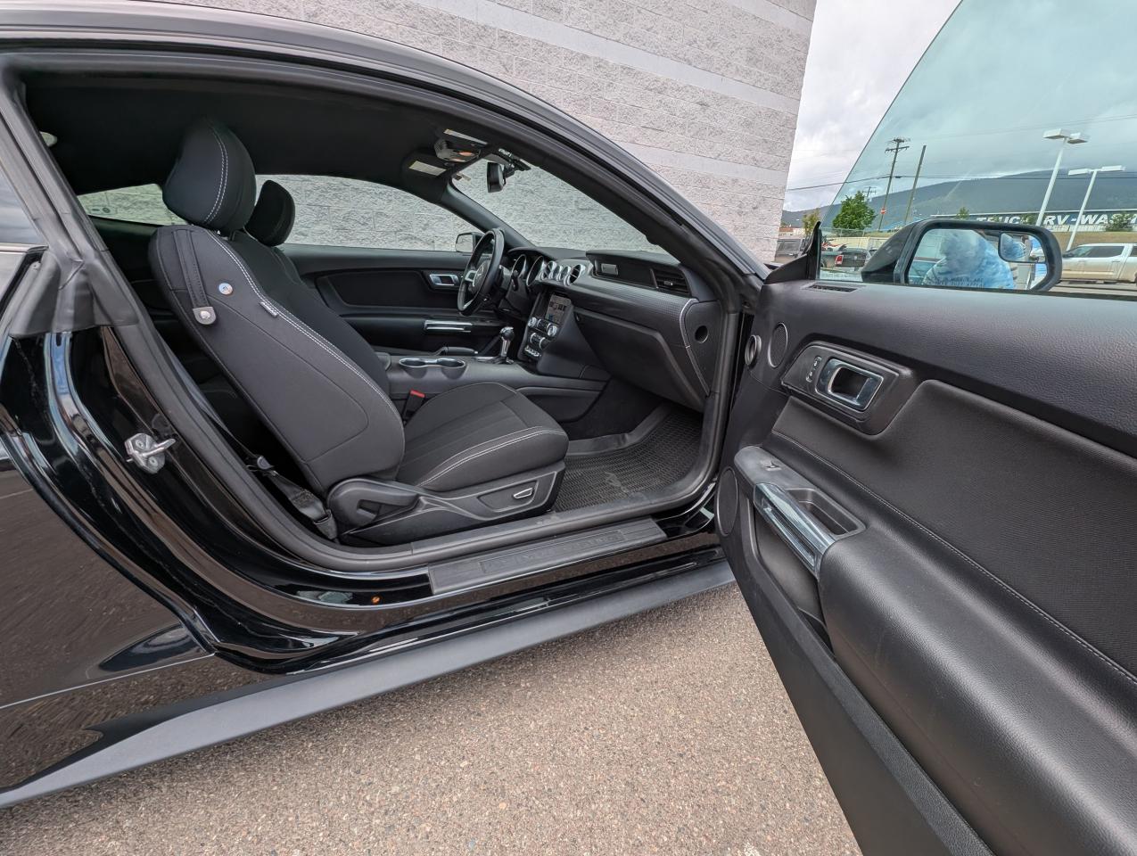 2019 Ford Mustang EcoBoost Photo