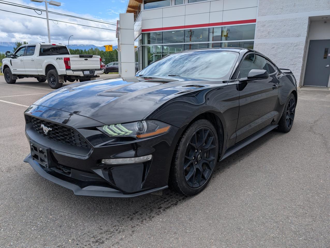 2019 Ford Mustang EcoBoost Photo