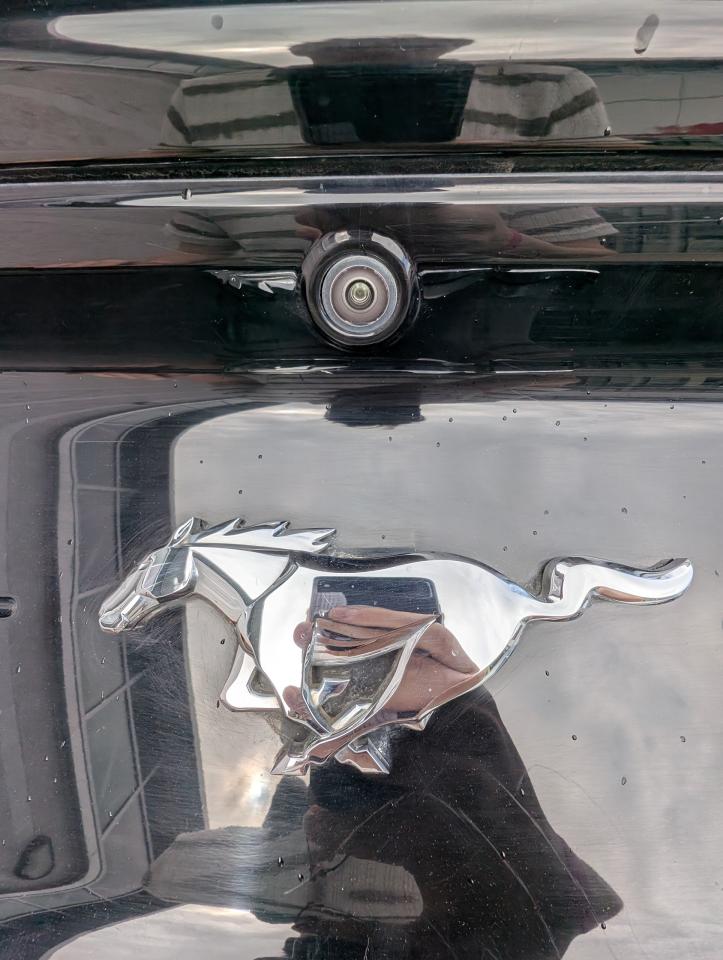 2019 Ford Mustang EcoBoost Photo