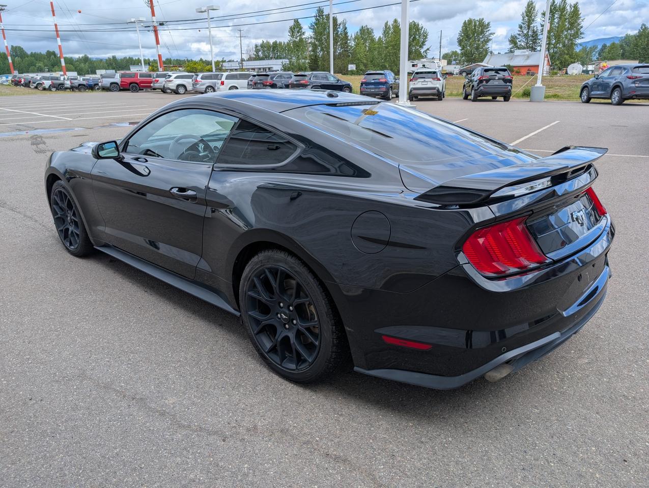 2019 Ford Mustang EcoBoost Photo