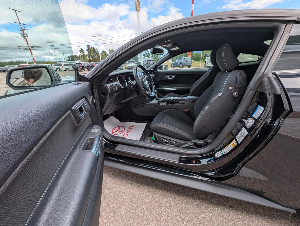2019 Ford Mustang EcoBoost Photo