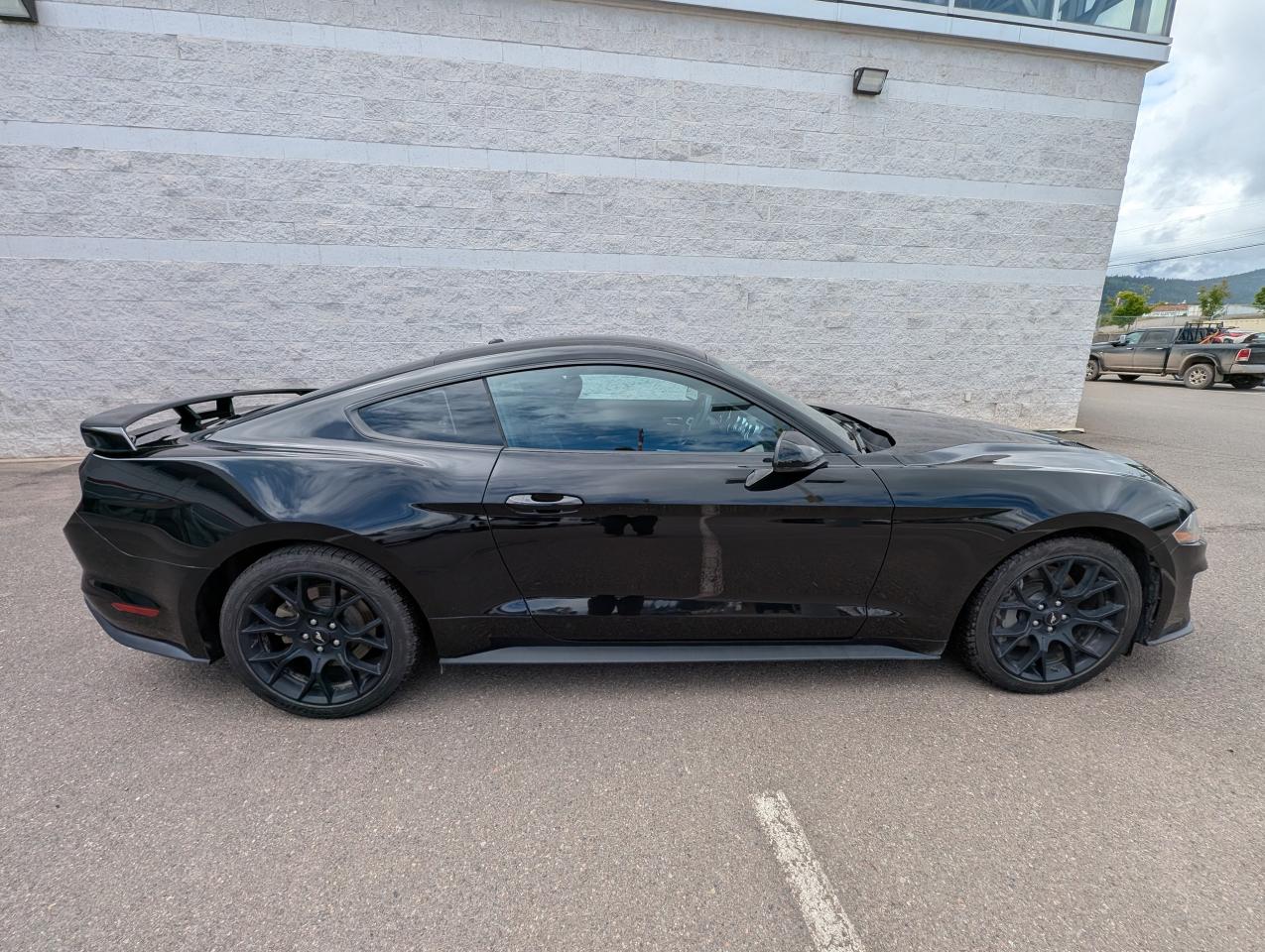 2019 Ford Mustang EcoBoost Photo