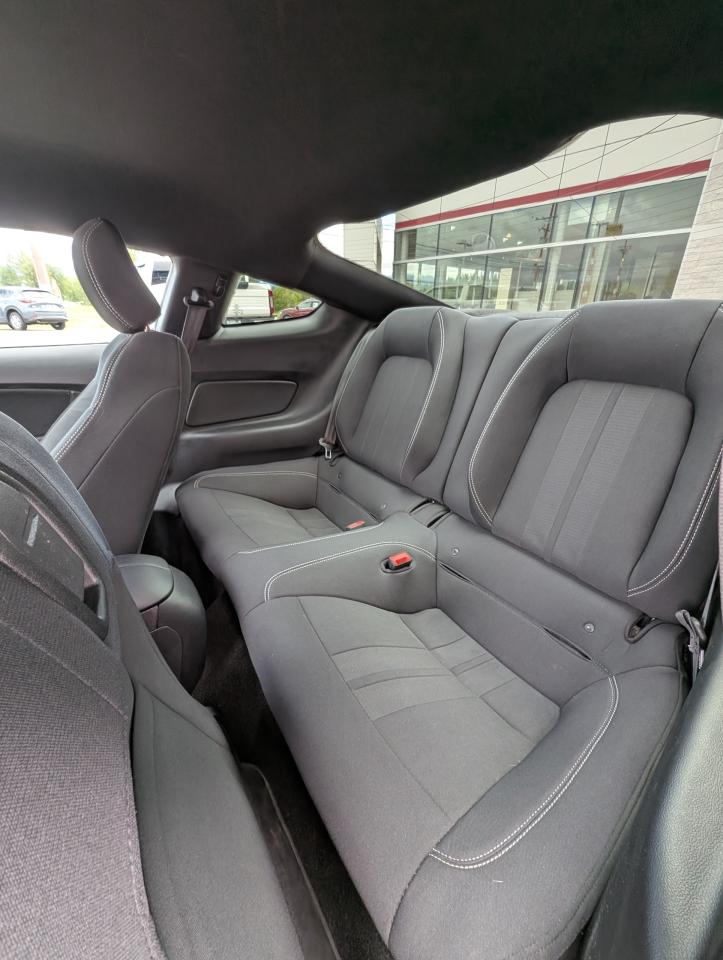 2019 Ford Mustang EcoBoost Photo