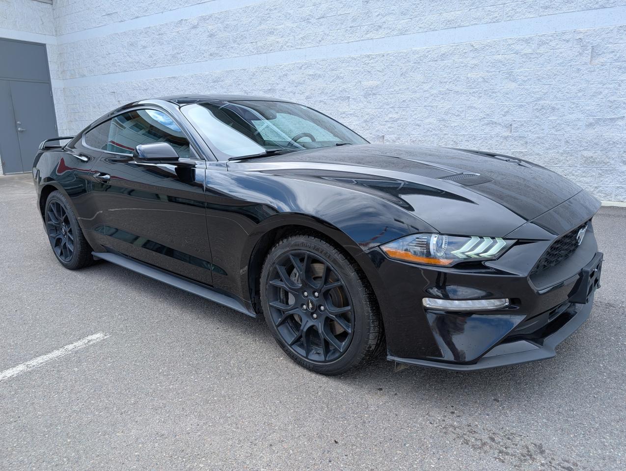 Used 2019 Ford Mustang EcoBoost for sale in Smithers, BC