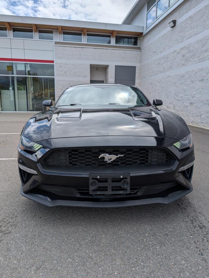 2019 Ford Mustang EcoBoost Photo1
