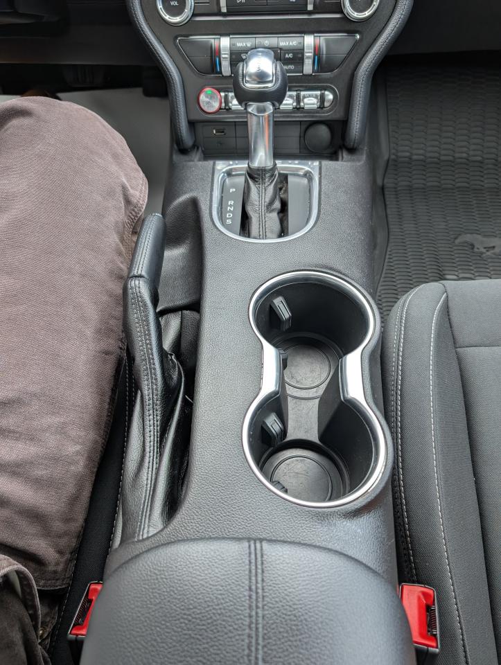 2019 Ford Mustang EcoBoost Photo