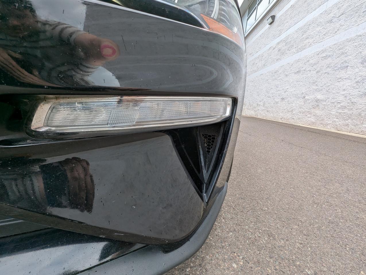2019 Ford Mustang EcoBoost Photo