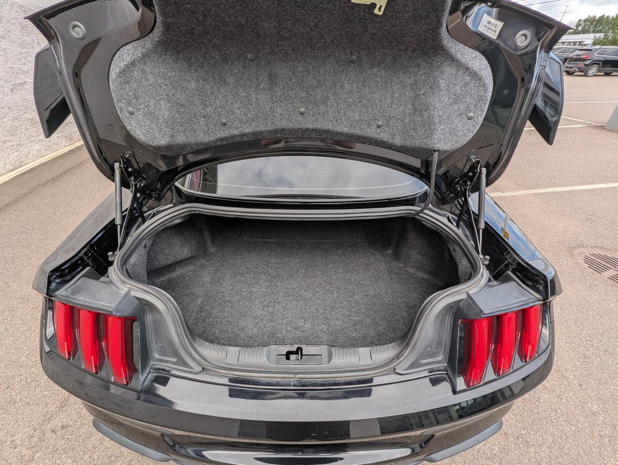 2019 Ford Mustang EcoBoost Photo