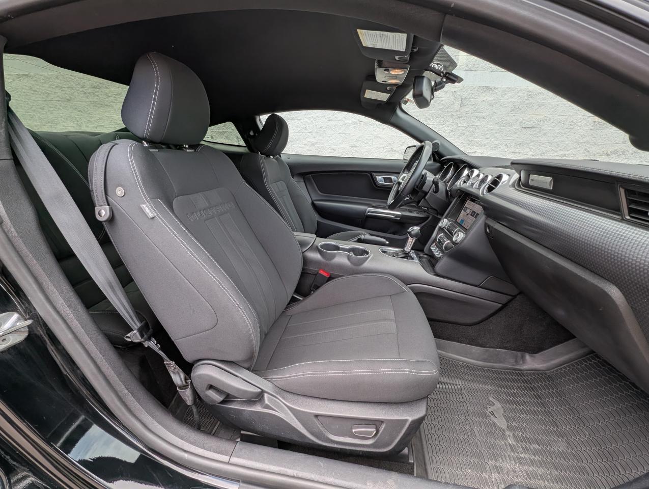 2019 Ford Mustang EcoBoost Photo