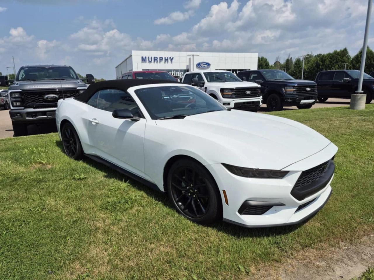 2025 Ford Mustang EcoBoost