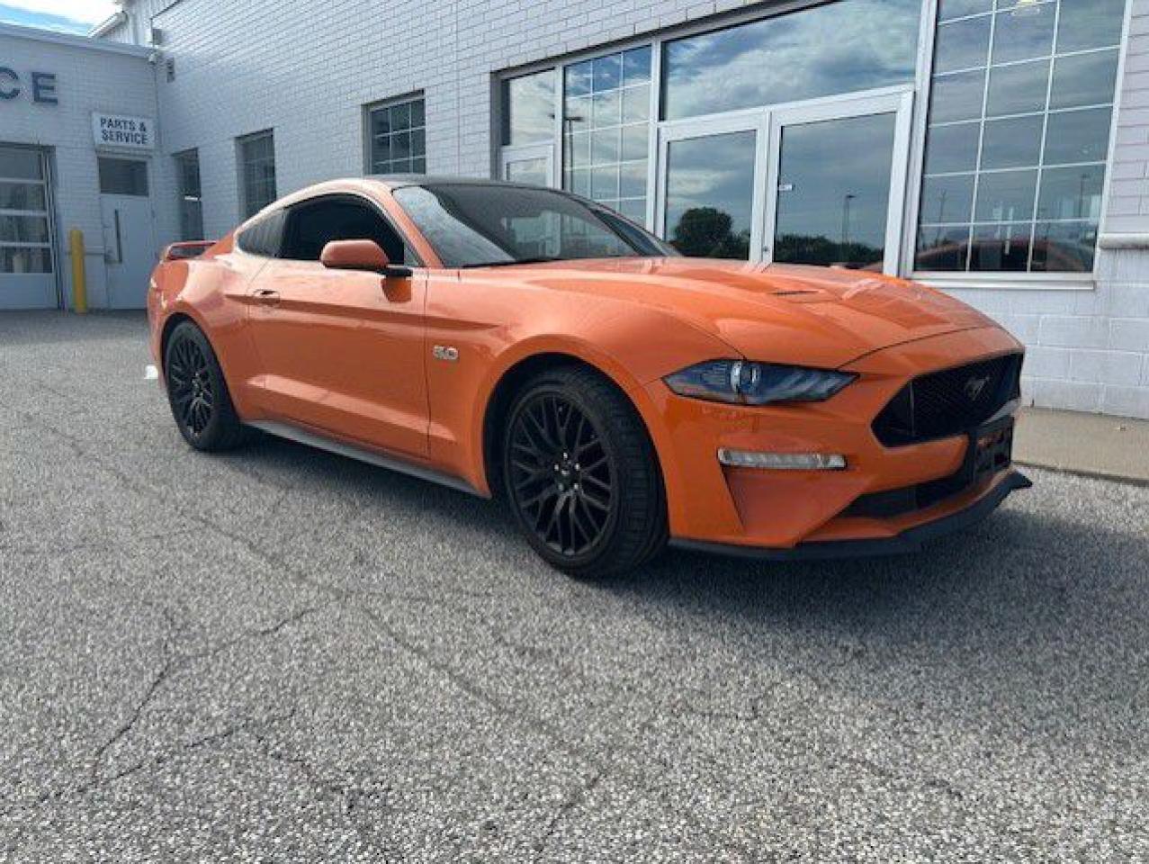 Used 2020 Ford Mustang GT Fastback for sale in Watford, ON