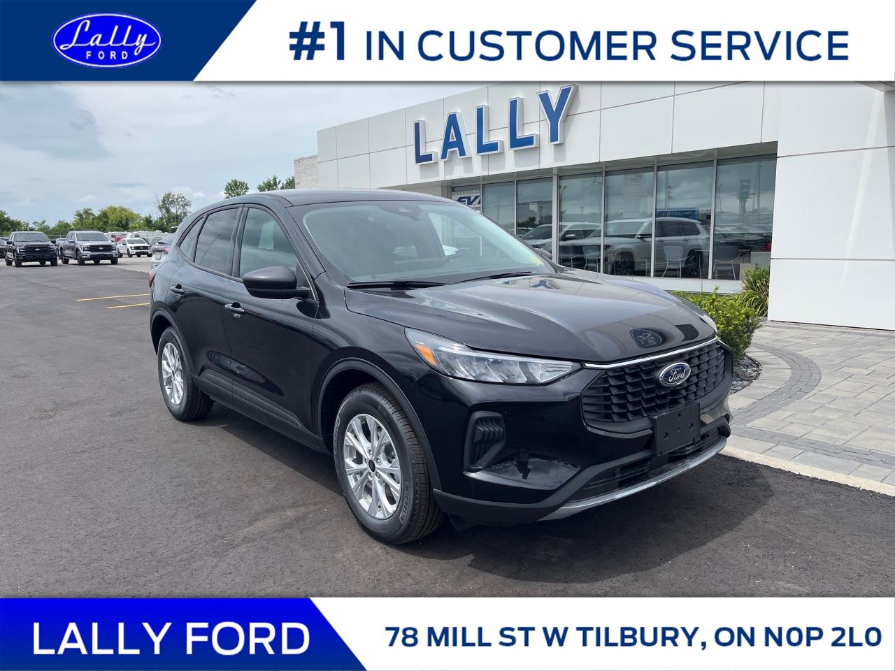 New 2025 Ford Escape Active for sale in Tilbury, ON